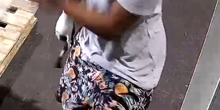 Arrestan a un sospechoso de robo a mano armada y se solicita la colaboración del público para identificar a otros