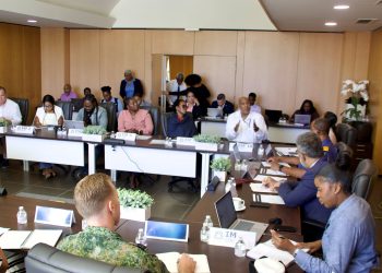 ODM: Nuevo sistema con alto potencial de desarrollo