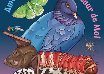 Se celebrará el Festival de Aves Migratorias en el Museo Naturalis