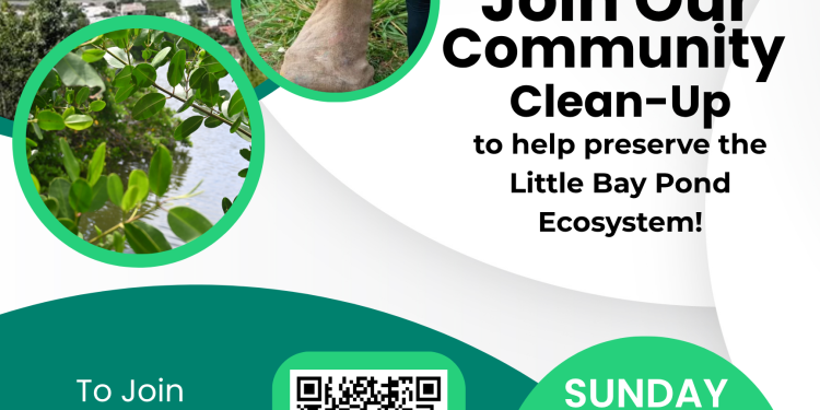 SMMC organizará la Limpieza del Estanque de Little Bay el 2 de noviembre