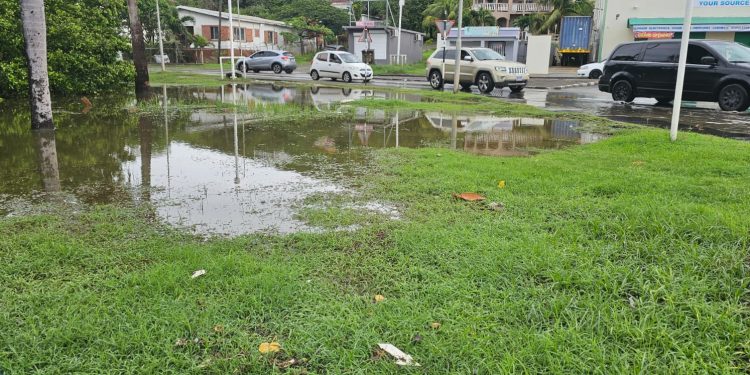 VROMI toma medidas de mitigación contra las inundaciones causadas por el aumento del nivel de Fresh Pond