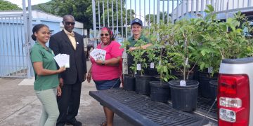 Los docentes de Statia reciben árbol como regalos