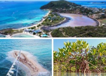 Anunciados los ganadores del Gran Premio del Concurso Fotográfico Mares y Escenas: Ama el Caribe 2025