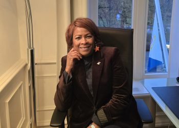 Ministra Plenipotenciaria Arrindell: Unidos contra la Violencia de Género Digital