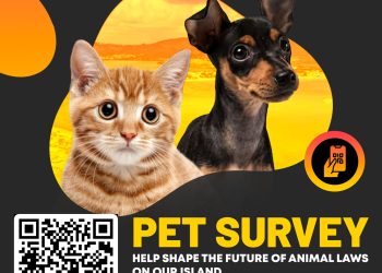 La Parlamentaria Veronica Jansen-Webster lanza encuesta pública para impulsar legislación sobre bienestar animal basada en datos