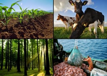 La Expo de Agricultura, Ganadería y Pesca (ALF) invita al evento el 11 de diciembre