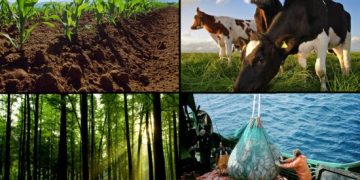 La Expo de Agricultura, Ganadería y Pesca (ALF) invita al evento el 11 de diciembre