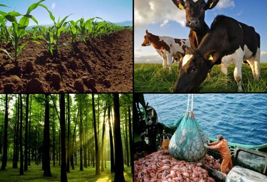 La Expo de Agricultura, Ganadería y Pesca (ALF) invita al evento el 11 de diciembre