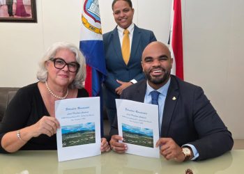 VROMI y ECYS: Asegura la vivienda y el patrimonio cultural, un componente crucial de la adquisición de terrenos