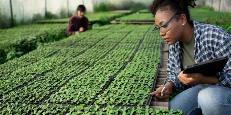 Evaluación de prepropuestas para las Becas de Doctorado del Caribe ya ha comenzado
