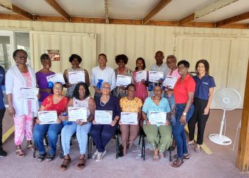 “Empoderando a las personas mayores a través de la tecnología: Nuestro Programa Cyber-Seniors 2025”