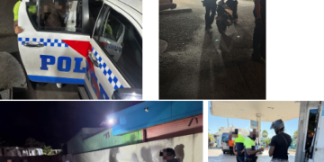 Informe de Operaciones del Equipo KPSM: 29 de diciembre de 2024 – 5 de enero de 2025