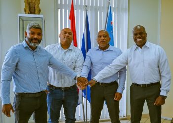 Acción de entrega de armas de fuego