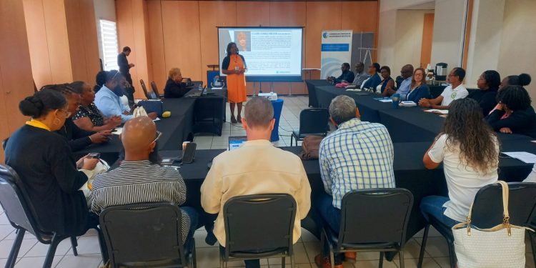 COCI organiza capacitación sobre gobierno corporativo para empresas