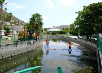 Limpieza de Great Salt Pond por la muerte de peces