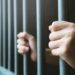 La cadena de justicia obtiene la custodia en la investigación de LB Scott Road