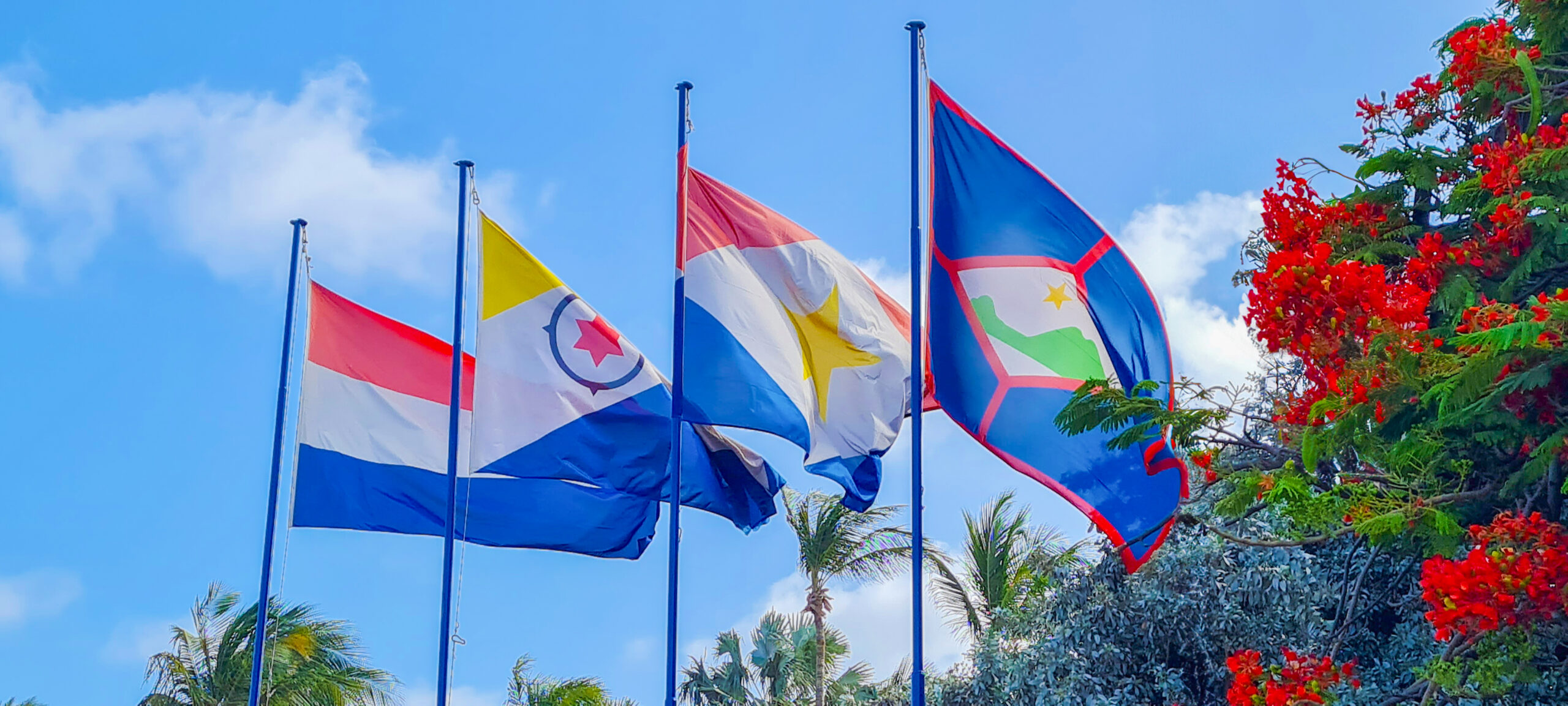 Bill Amending Key BES Island Laws Sent to Council of State