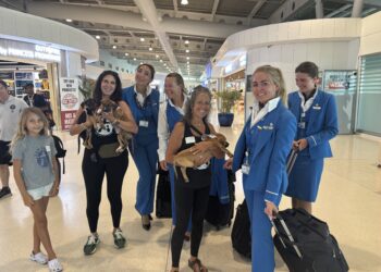 Tres cachorros rescatados buscan hogar a través de la iniciativa Paws in Flight Saturday