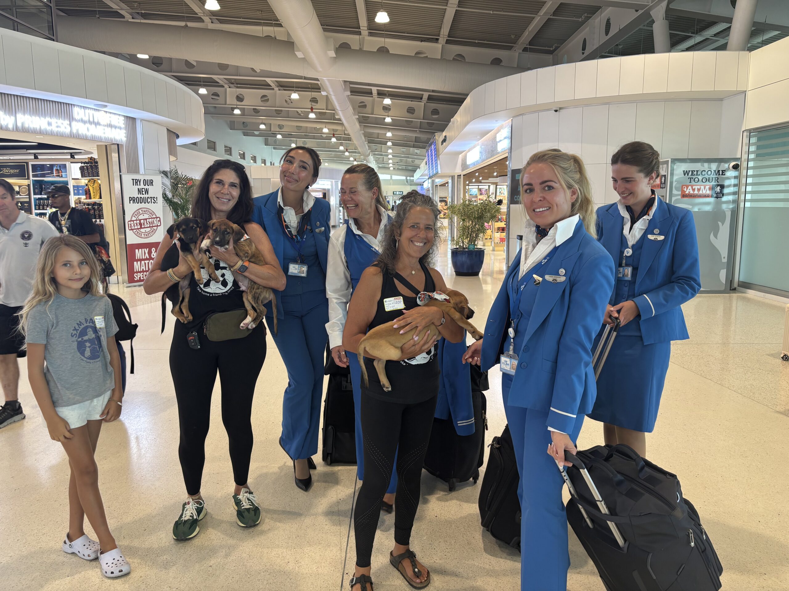 Three Rescued Puppies Seek Homes Through Paws in Flight Saturday