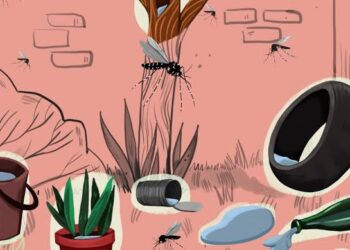 CPS urge a los residentes a eliminar criaderos de mosquitos tras las fuertes lluvias