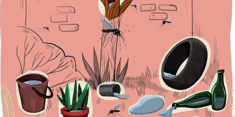 CPS urge a los residentes a eliminar criaderos de mosquitos tras las fuertes lluvias
