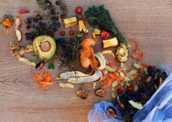 Día Internacional de Concienciación sobre la Pérdida y el Desperdicio de Alimentos