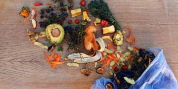 Día Internacional de Concienciación sobre la Pérdida y el Desperdicio de Alimentos