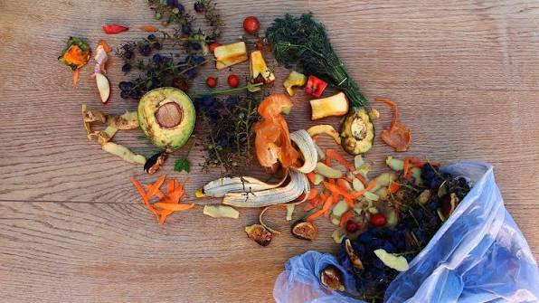 International Day of Awareness on Food Loss and Waste Observed Sept. 29
