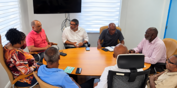 NV GEBE mejorará la infraestructura eléctrica del Parque Emilio Wilson