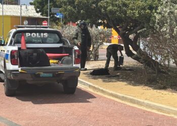 Defensa apoya a la Policía ante potencial explosivo en Aruba
