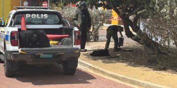 Defensa apoya a la PolicÃa ante potencial explosivo en Aruba