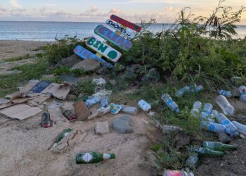 Los organizadores de la ICC expresan su preocupación por la acumulación de basura en la playa de Little Bay
