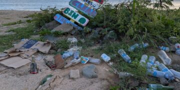 Los organizadores de la ICC expresan su preocupación por la acumulación de basura en la playa de Little Bay