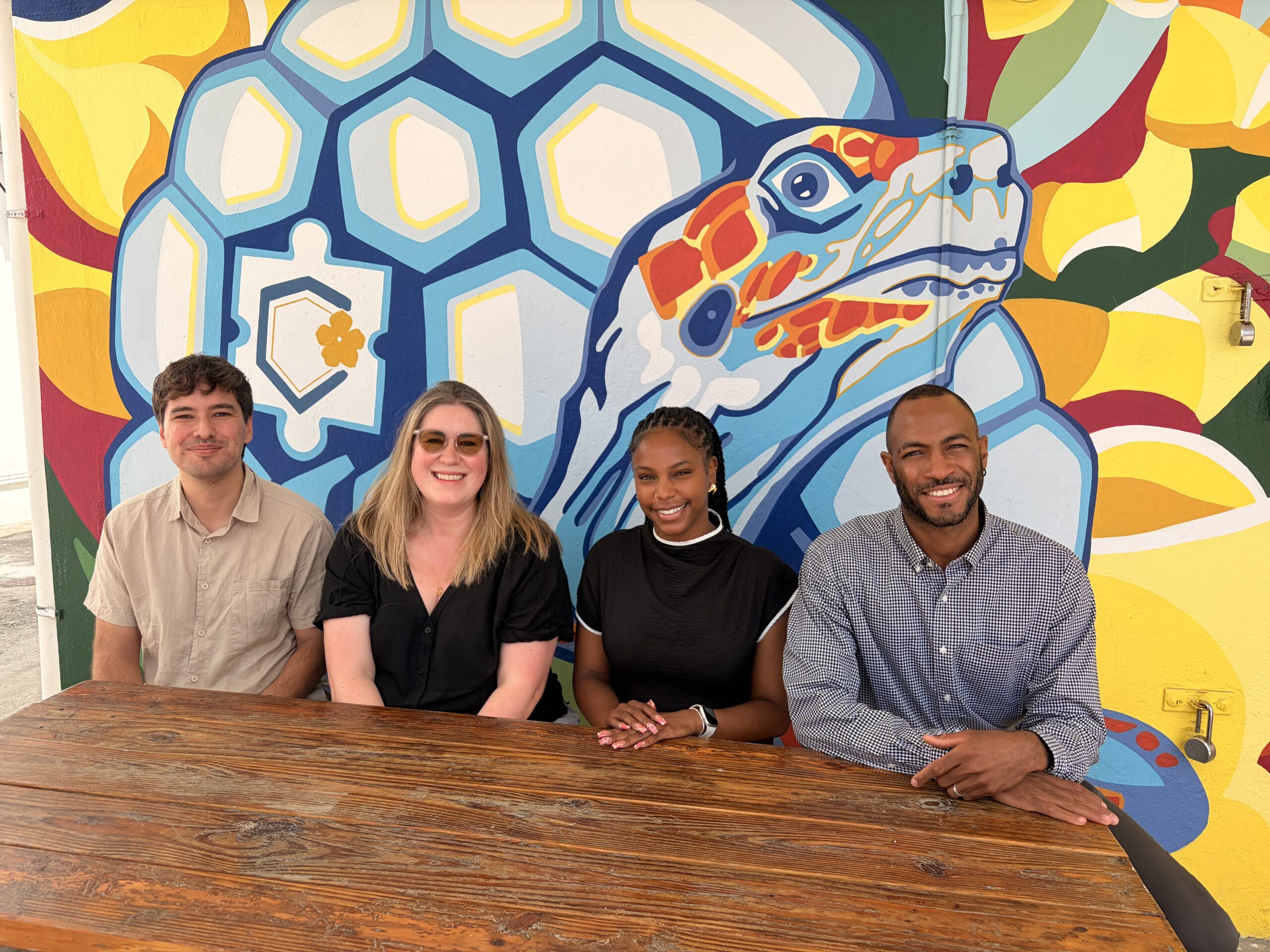 Trust Fund Project Aims to Expand Mental Health Access in St. Maarten
