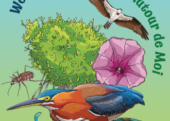 Festival gratuito de aves migratorias se celebrará el 10 de octubre en Amuseum Naturalis