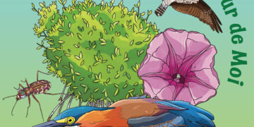 Festival gratuito de aves migratorias se celebrará el 10 de octubre en Amuseum Naturalis