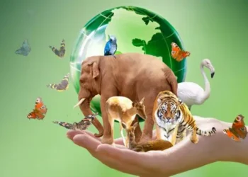 Día Mundial de los Animales