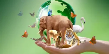 DÃa Mundial de los Animales