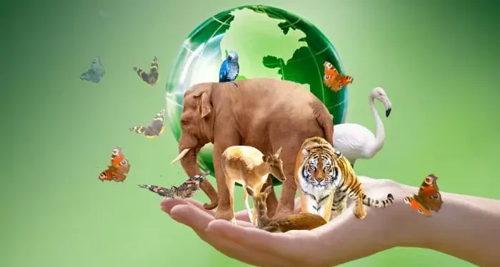 Día Mundial de los Animales